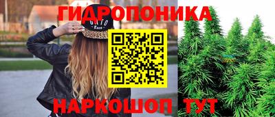 круглые Можга