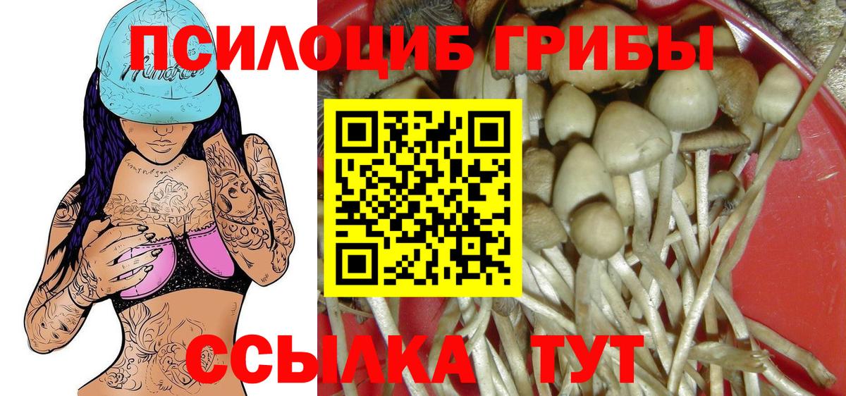 Галлюциногенные грибы прущие грибы Шебекино