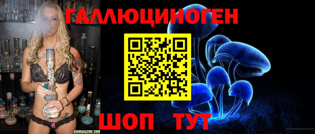 Галлюциногенные грибы GOLDEN TEACHER  Вход с VPN  Псилоцибиновые грибы Magic Shrooms  Шебекино 